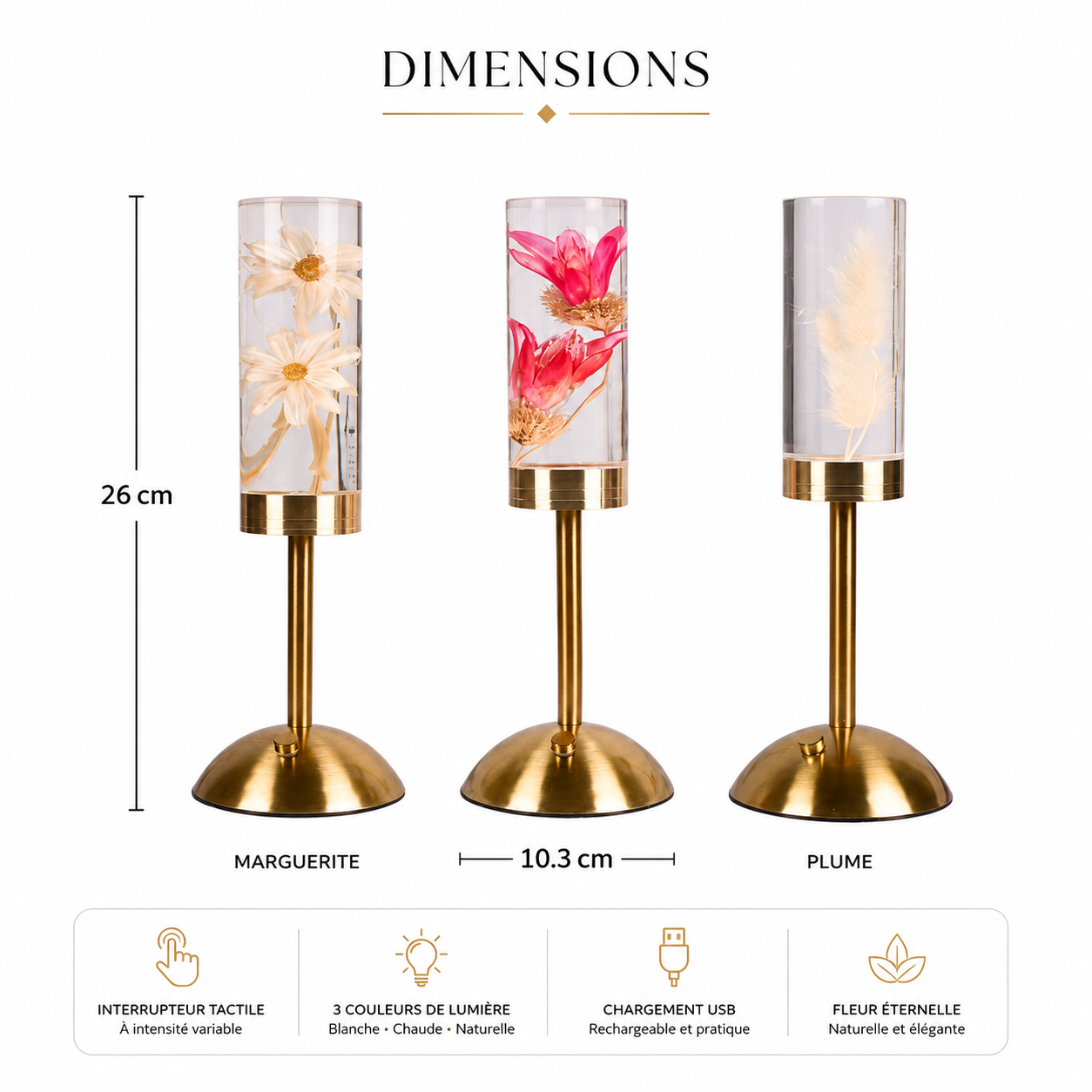 Dimensions de la lampe décorative Little Daisy Fleur Éternelle avec variantes Marguerite, Lotus Rose et Plume, interrupteur tactile, trois couleurs de lumière et recharge USB.