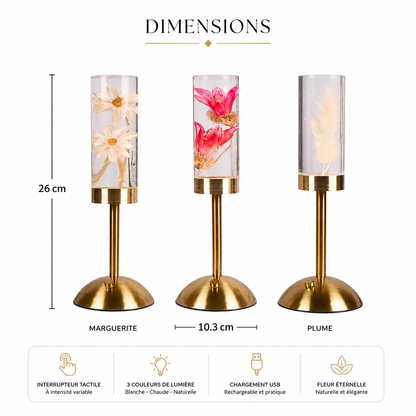 Dimensions de la lampe décorative Little Daisy Fleur Éternelle avec variantes Marguerite, Lotus Rose et Plume, interrupteur tactile, trois couleurs de lumière et recharge USB.