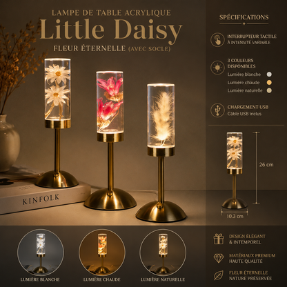 Infographie Little Daisy montrant les lampes décoratives à fleurs éternelles, les dimensions 26 cm, l’interrupteur tactile, les 3 couleurs d’éclairage et le chargement USB.