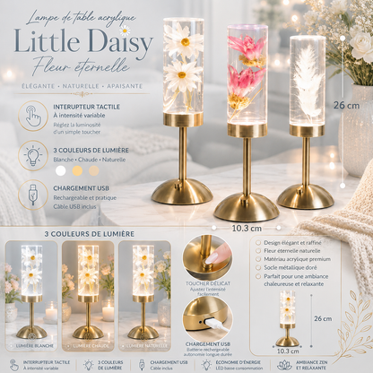 Infographie de la lampe de table LED Little Daisy Fleur Éternelle présentant trois modèles décoratifs (marguerite, fleur rose et plume) avec éclairage LED rechargeable. L'image met en avant l'interrupteur tactile à intensité variable, trois couleurs de lumière (blanc, chaud et naturel), le chargement USB, les dimensions de 26 cm de hauteur par 10,3 cm de largeur ainsi qu'un design élégant pour créer une ambiance chaleureuse, zen et relaxante.
