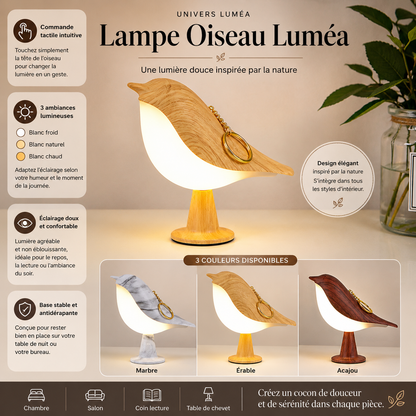 Lampe oiseau diffuseur d’huiles essentielles rechargeable avec éclairage LED réglable, disponible en trois couleurs : marbre, érable et acajou. Design élégant pour chambre, salon, coin lecture ou table de chevet.