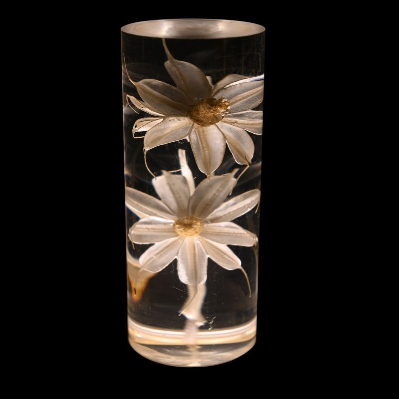 Gros plan de la fleur Marguerite préservée de la lampe Little Daisy, intégrée dans un cylindre transparent en acrylique pour une décoration élégante et naturelle.