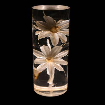 Gros plan de la fleur Marguerite préservée de la lampe Little Daisy, intégrée dans un cylindre transparent en acrylique pour une décoration élégante et naturelle.