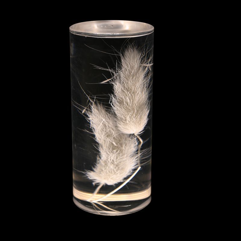 Gros plan de la plume préservée de la lampe Little Daisy, intégrée dans un cylindre transparent en acrylique pour une décoration élégante et naturelle.